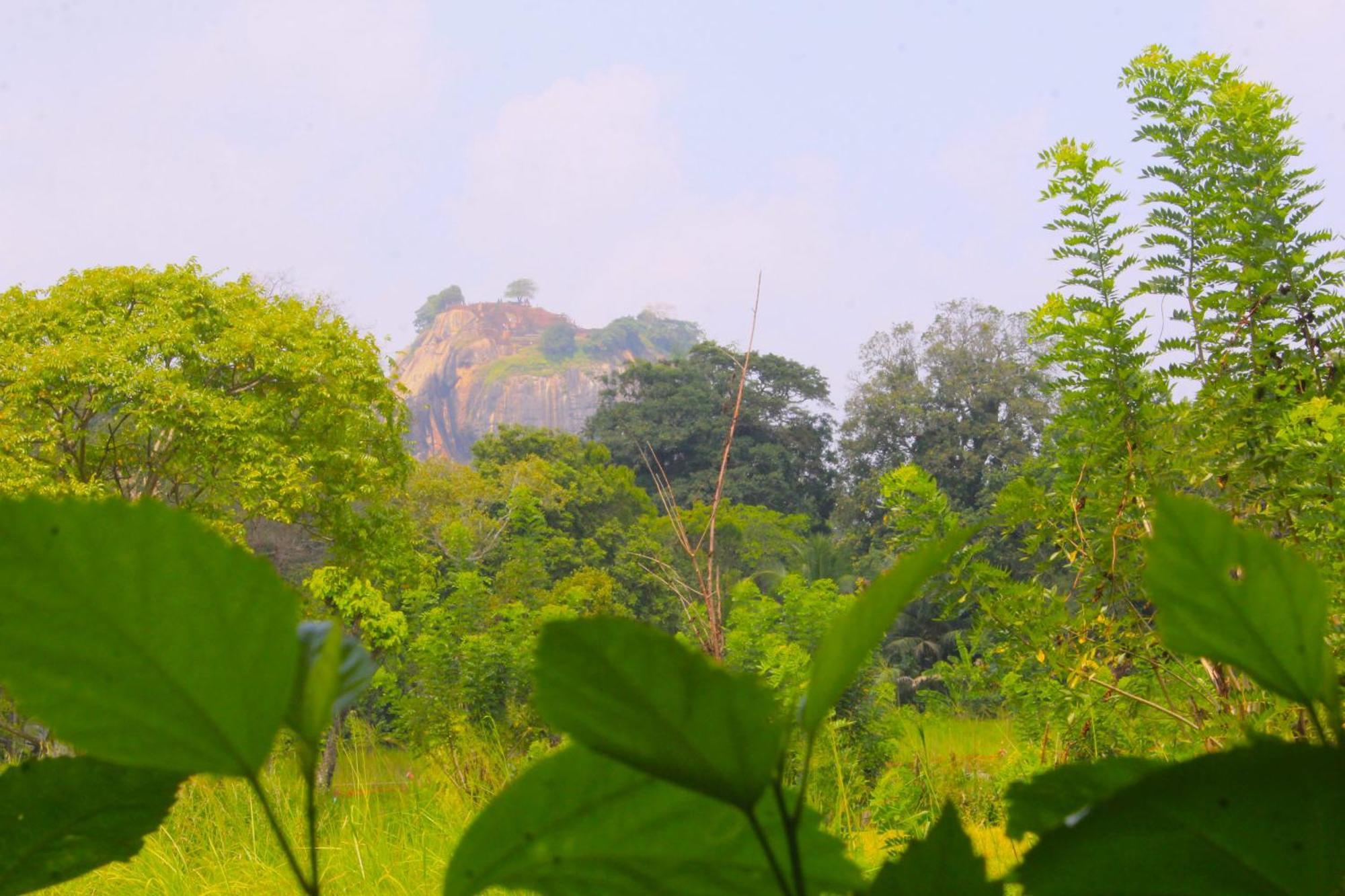 Sigiriya Palace View Eksteriør billede
