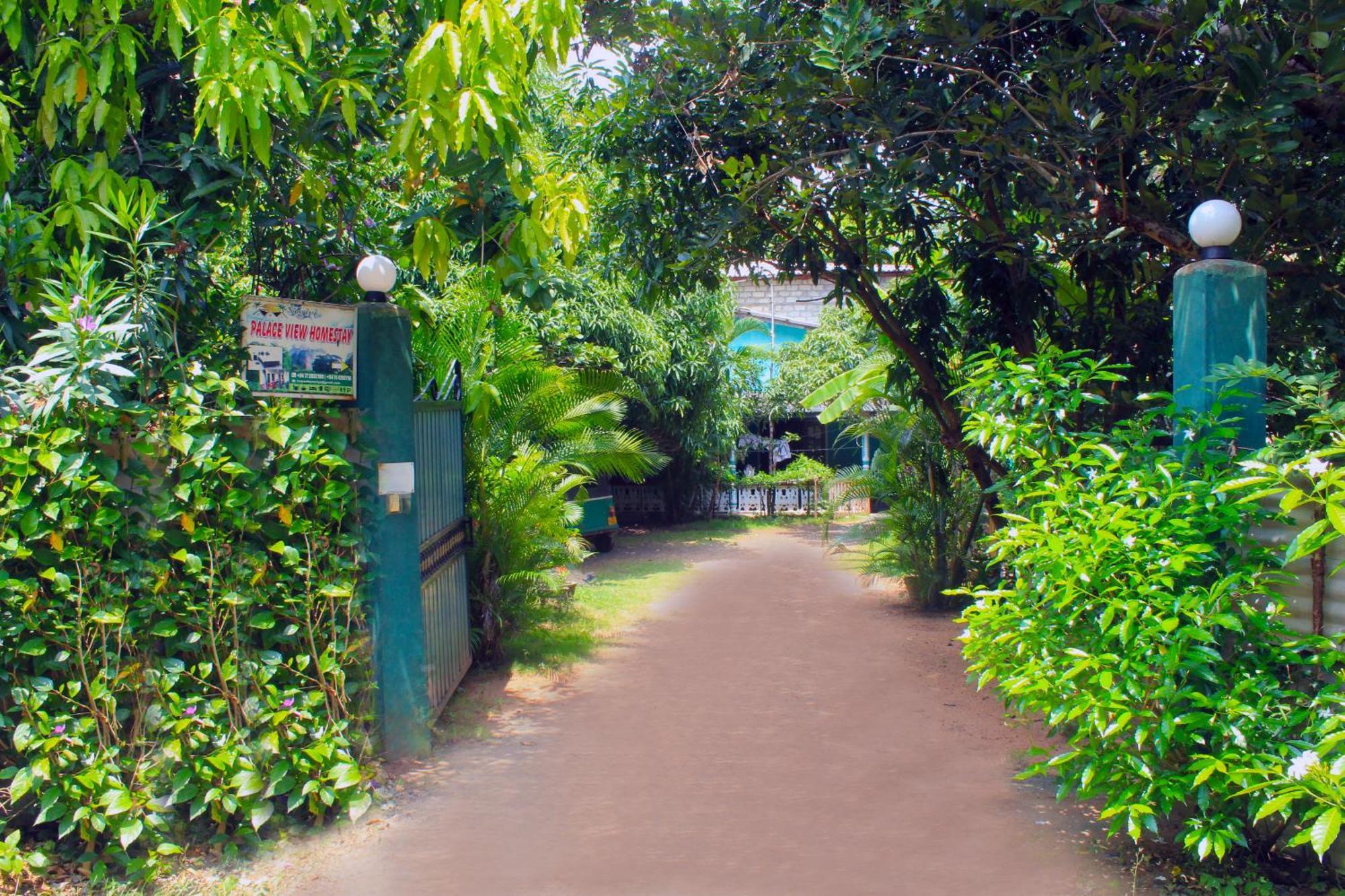 Sigiriya Palace View Eksteriør billede